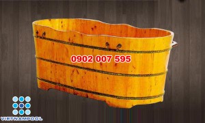 Bồn Tắm Gỗ VNP18